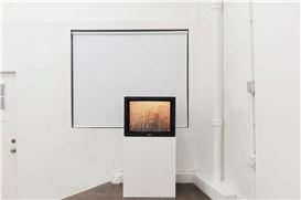 FIRST ALIENATION at Timeshare