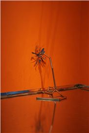 Indrikis Gelzis at Latvian National Museum of Art, Riga