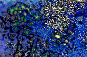 The Wonders of Nature from a High-Tech Perspective at The Dryansky Gallery