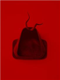 Anastasia Komar at Management, New York