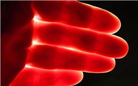 Museum Ludwig presents "Entropic Records": Pauline Hafsia M'barek explores Agfa Archive fragility