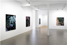 Seth Price “Free Fall” at Galerie Chantal Crousel, Paris