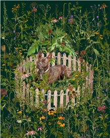 Morgan Barrie: Myth of the Flat World