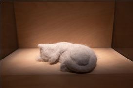 Exhibition explores the evolving relationship between humans and animals throughout history