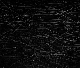 Iliana Ortega Flow of Radiance