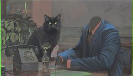 CATS ARE TAKING OVER exhibition in Bucharest