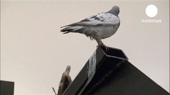 Brothers in art: the Chapmans' latest exhibition