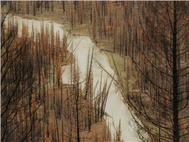 2024 Booooooom Photo Awards Winner: Grant Harder