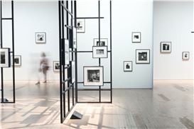 Diane Arbus, Everything Everywhere All at Once