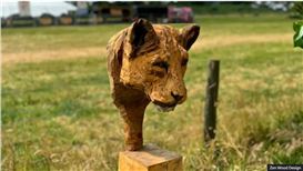 Sculptor delighted as stolen animal heads found
