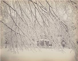 When a democratic medium documented a democratic nation