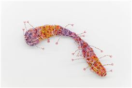 Casting, amitiés côté jardin at In Extenso, Clermont-Ferrand