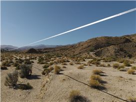 Desert X 2025 Review: Morale Failure