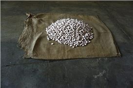 Biennale of Sydney Announces Theme and Artists for 2026 Edition