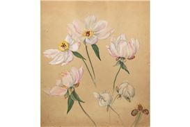 The Thomas Cole National Historic Site Opens "Emily Cole: Ceramics, Flora & Contemporary Responses"