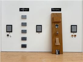 Renée Green Questions the Meaning of Meanings