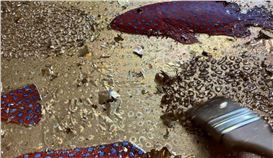 Larisa Ruy: I came to art not through classical academic education