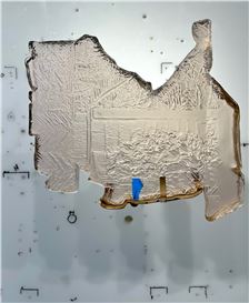 Studio Visit: SaraNoa Mark