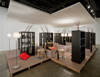 Beth Campbell: Wrestling with Reality