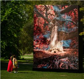 In ‘Of the Oak,’ a Magnificent Tree at Kew Gardens Gets an Immersive ‘Digital Double’