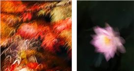 Jiro Hiraike: Capturing Time, Emptiness, and Perception