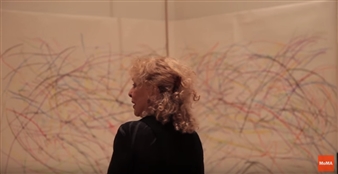 Carolee Schneemann: Up to and Including Her Limits