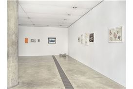 Pulitzer Arts Foundation presents Veronica Ryan: Unruly Objects and Jess T. Dugan: I'm right here with you