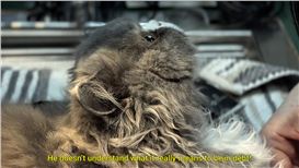 Freudian Typo (Ghazaleh Avarzamani and Ali Ahadi): Condensed Word, Displaced Flesh at Delfina Foundation