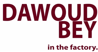 Dawoud Bey Talks about his exhibition at the Indianapolis Museum of Art