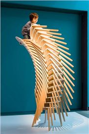 “. . . the Power of Awakening to Wonder.”