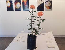 Nature is Interpretable: the Art of Alexandra Kuhn