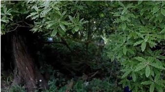 Sean McFarland at Work