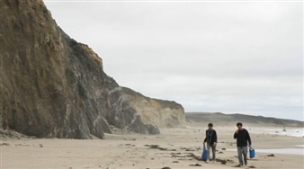 Artists Find Beauty in an Environmental Disaster in 'One Plastic Beach'