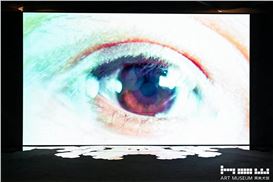 HOW Art Museum Presents "Rear Window & Real Wonder" Featuring Hybrid Collaboration