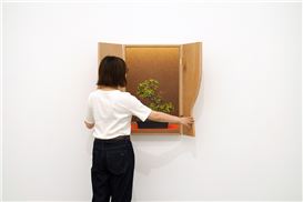 "Nearly Natural" explores bonsai as metaphor for modern identity in Erin Wright's new exhibition