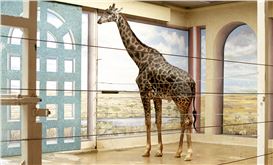 A Giant German Photography Survey Reinvigorates the Medium