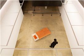 Yalin Zhao turns insomnia into art