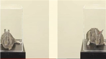 Behind the Scenes: Taryn Simon: A Living Man Declared Dead and Other Chapters I-XVIII