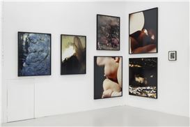 The 8 Exhibitions to See in London This June