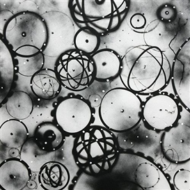 10 Opening Exhibitions to Watch