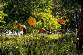 Top Worldwide Exhibitions: Art Openings in June 2025