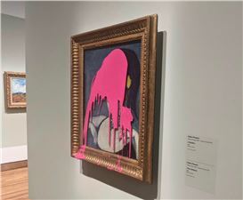 Climate Change Demonstrator Douses Picasso with Pink Paint at Montreal Museum