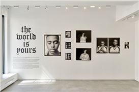 Art and Cannabis Converge at Gotham’s Disruptive Dispensaries