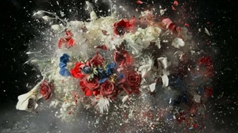 In the Artist's Words: Ori Gersht on Violence and Beauty