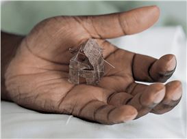 Donald Rodney: Visceral Canker