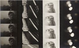 Bruce Silverstein Gallery Presents in Sequence: From Moment to Story in Contemporary Photography