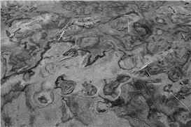 Federico Rabinovich Presents Wind Full of Space: An Exhibition Curated by Elisabeth Biondi