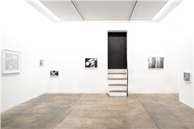 Paola De Pietri. On the Surface. Notes on Nature