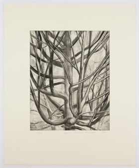 SYLVIA PLIMACK MANGOLD with John Yau